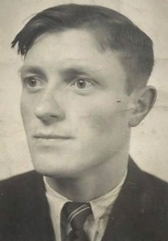 Portret van Hendrikus Bruinekool