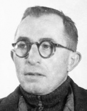 Portret van Willem van de Poll